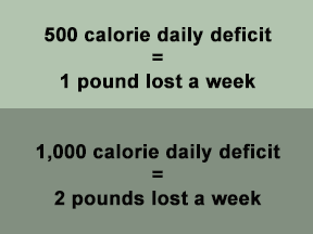 Graphic explaining that a 500-calorie daily deficit equals about 1 pound lost per week, while a 1,000-calorie daily deficit equals about 2 pounds lost per week.